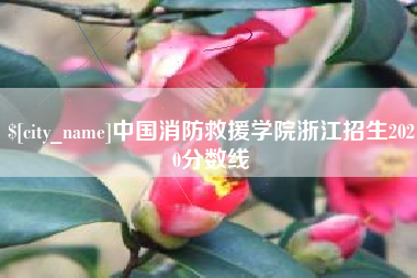 红河中国消防救援学院浙江招生2020分数线