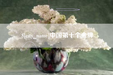 红河中国第十个金牌