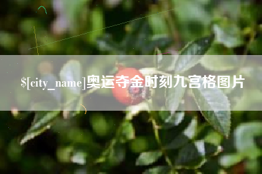 红河奥运夺金时刻九宫格图片
