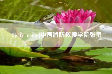 红河中国消防救援学院张勇