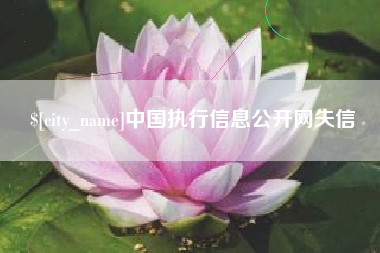 红河中国执行信息公开网失信