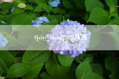 红河2022九宫