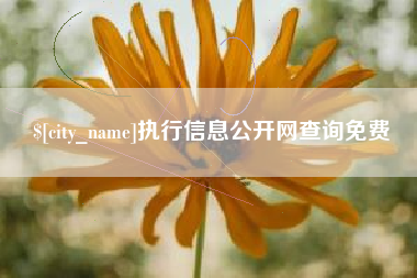 红河执行信息公开网查询免费