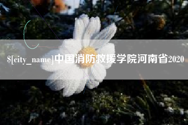 红河中国消防救援学院河南省2020